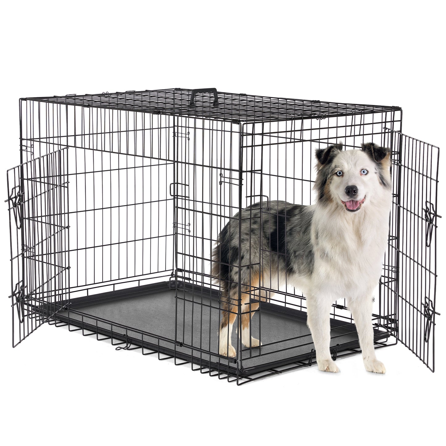 A Dog Cage with Two Doors