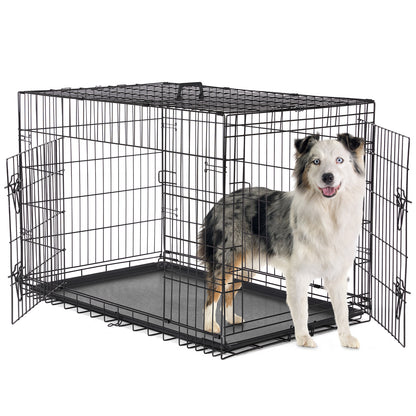 A Dog Cage with Two Doors