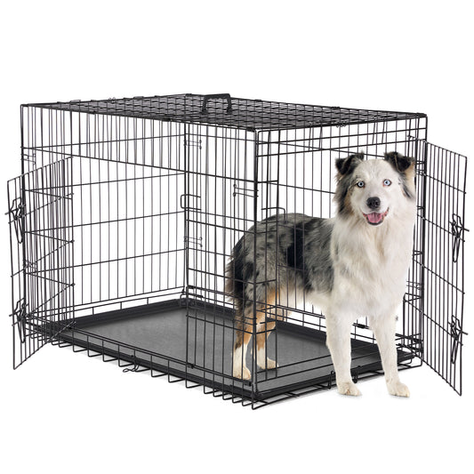 A Dog Cage with Two Doors