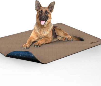 Washable Pee Pads for Dogs, Leakproof, Non-Slip Reusable Puppy Pads for Potty Training, Whelping, Waterproof Mat (48X60 Inch, Pack of 1)