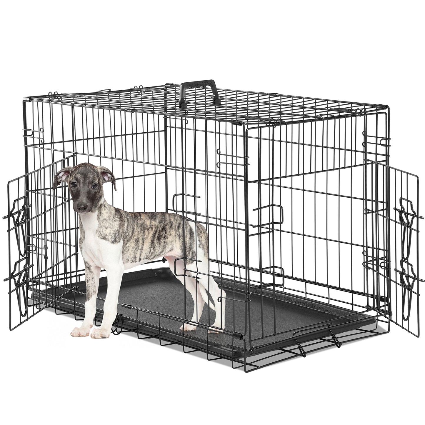 A Dog Cage with Two Doors