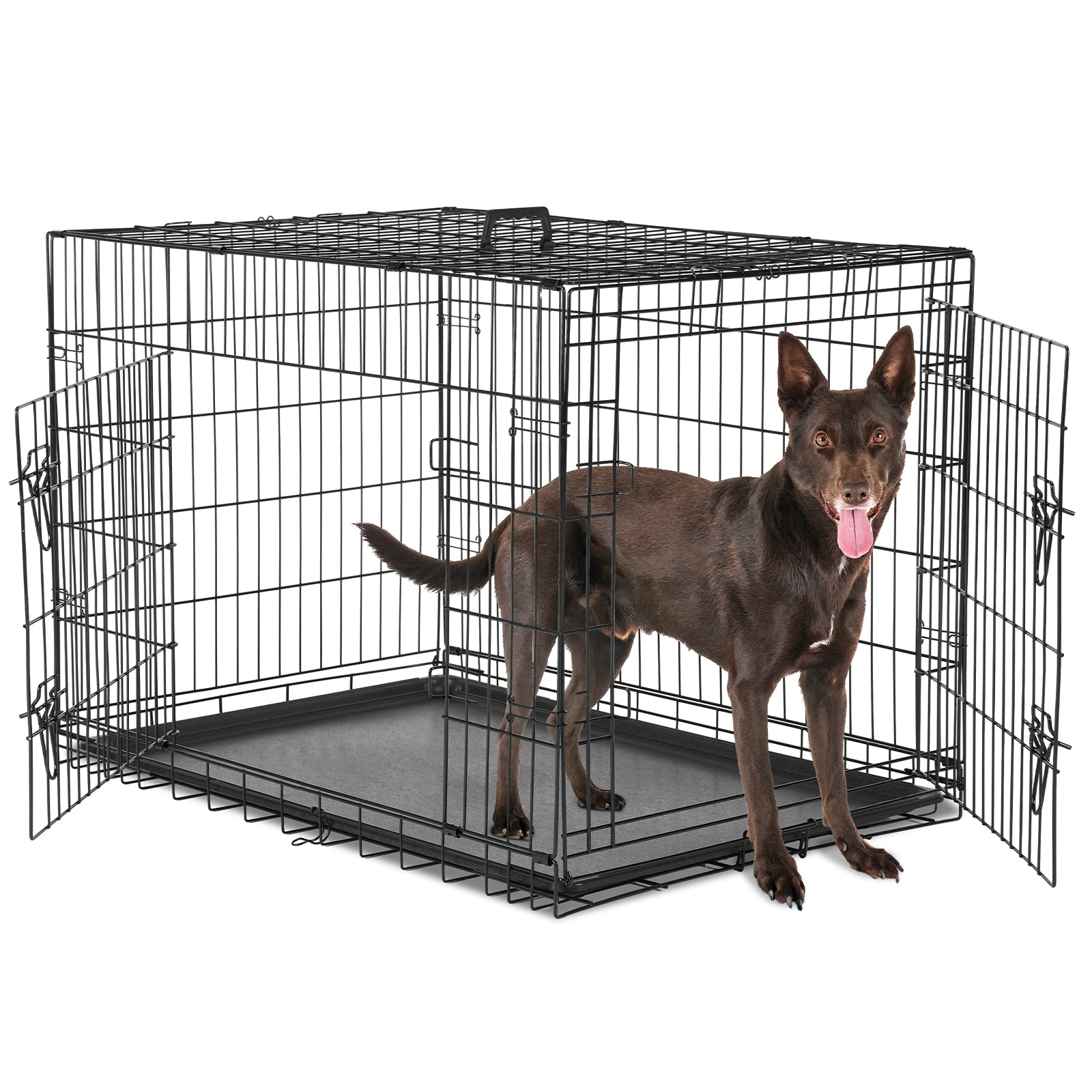 A Dog Cage with Two Doors