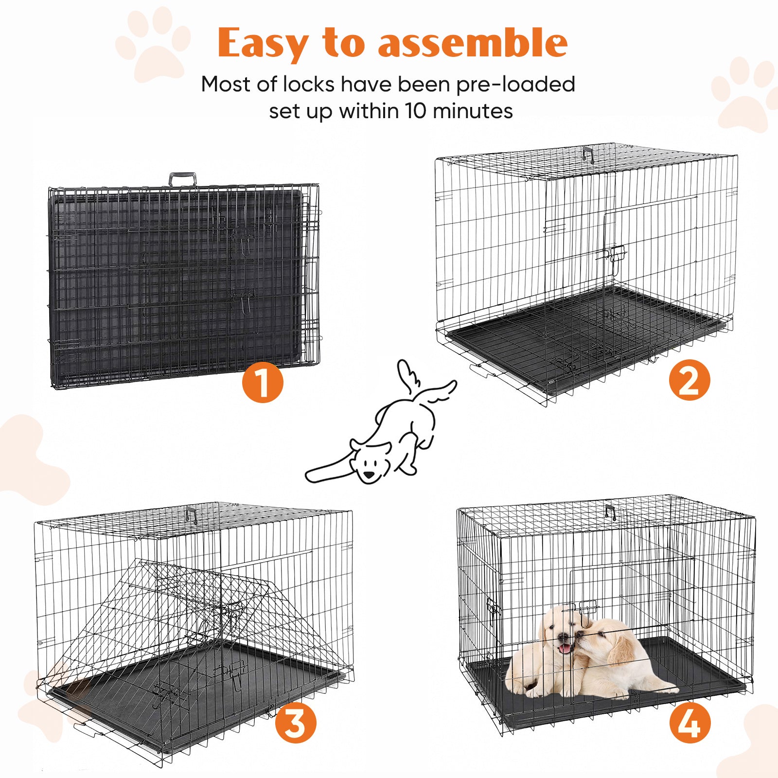 A Dog Cage with Two Doors